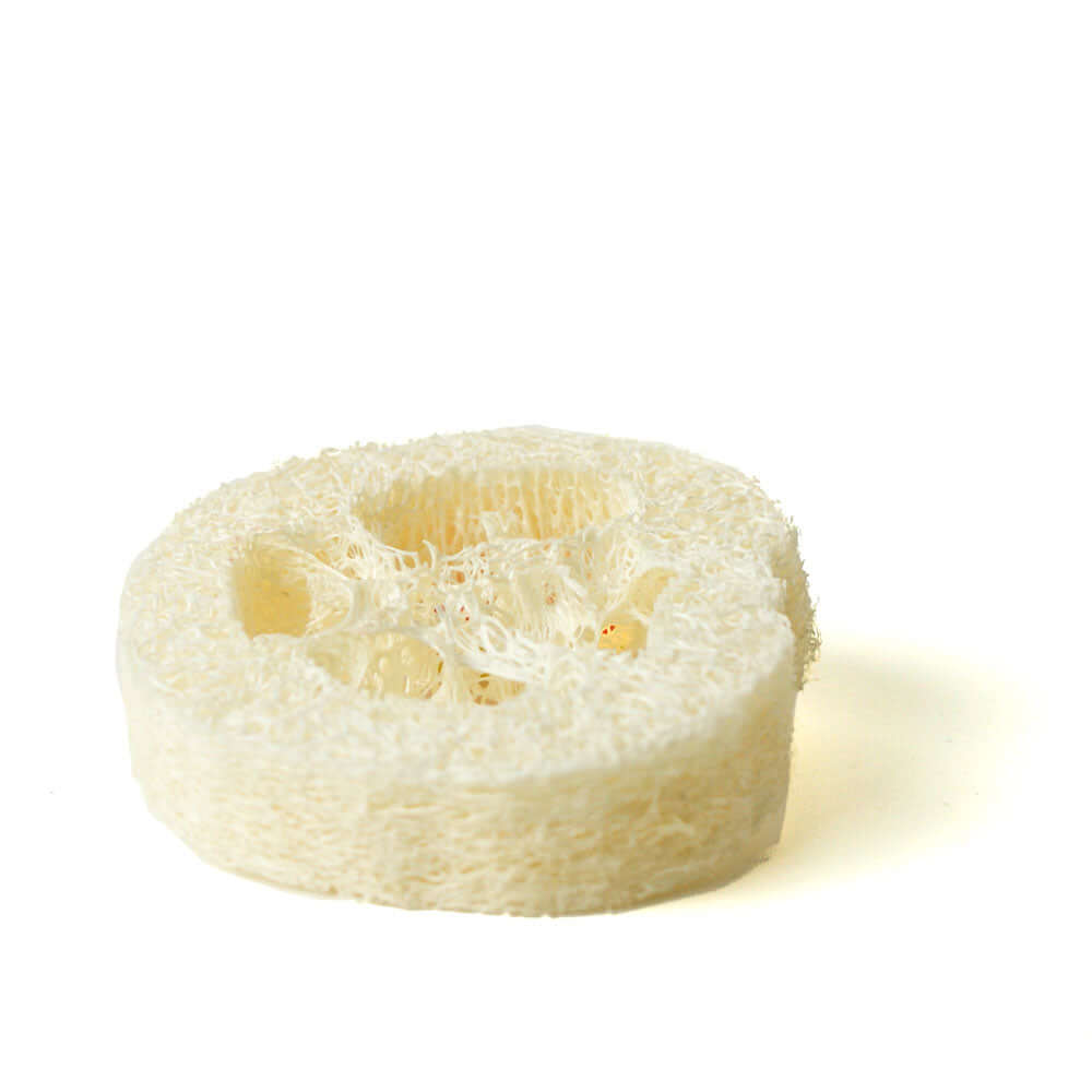 Luffascheibe als Ablage für festes Shampoo, fester Conditioner und feste Dusche